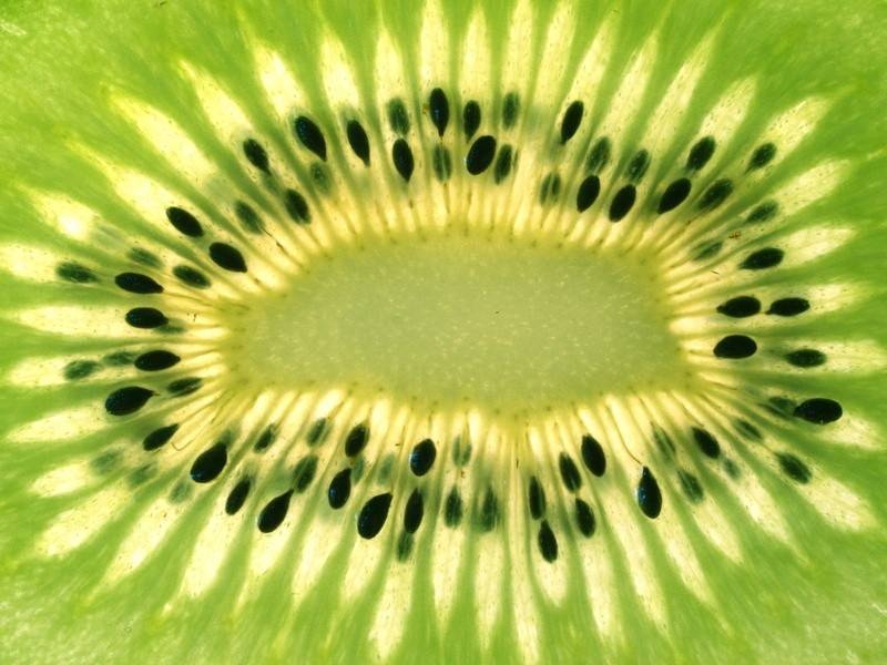 Kiwi Fruchtfleisch