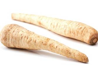 Pastinake Pastinake