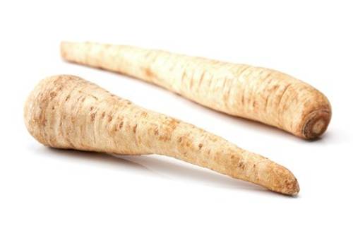Pastinake Pastinake