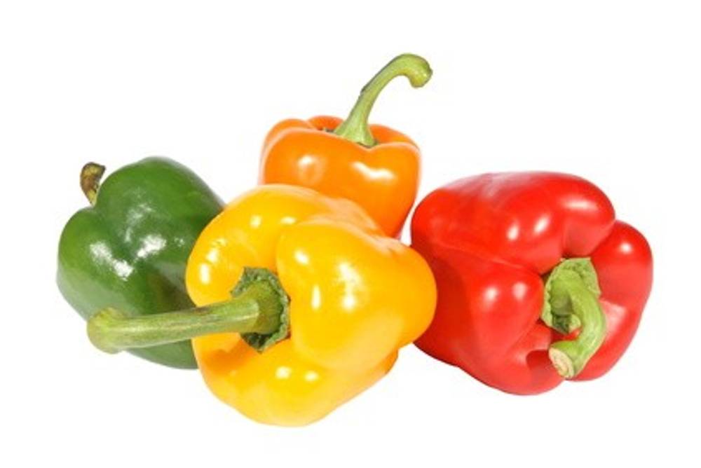 Paprika Paprika