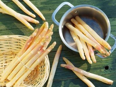Spargel richtig kochen