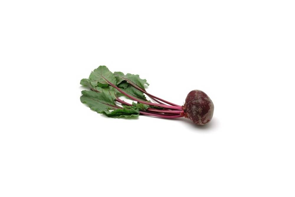 Rote Rübe Rote Rübe