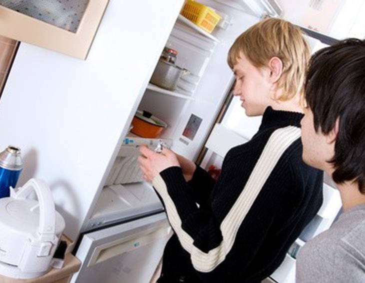 Wie räumt man einen Kühlschrank richtig ein?