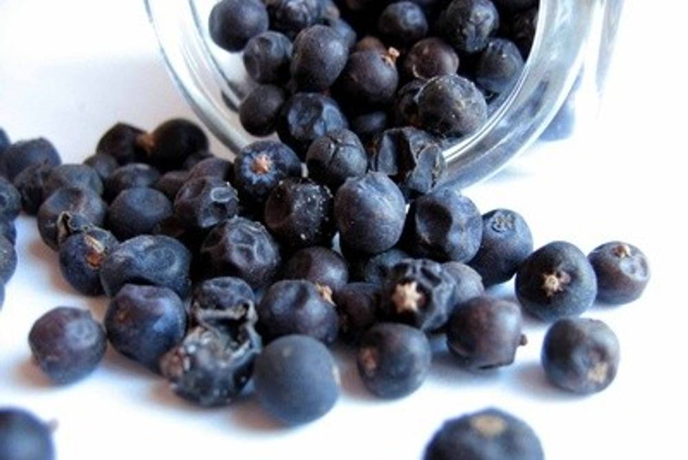 Wacholderbeeren Wacholderbeeren