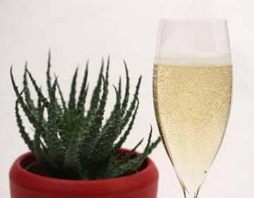 Aloevera-Secco Aloevera-Secco