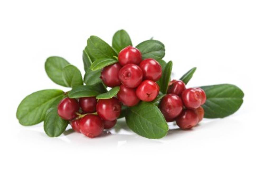 Cranberries Cranberries