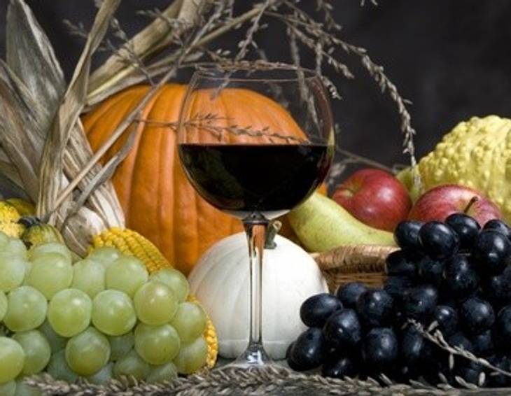 Die aktuellen Weinempfehlungen im Herbst