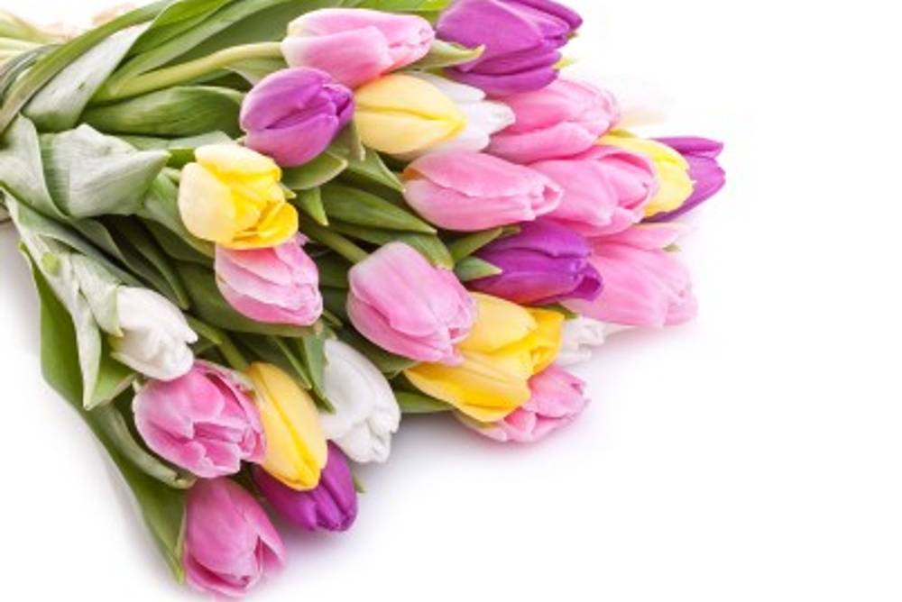 Blumen zum Muttertag Blumen zum Muttertag