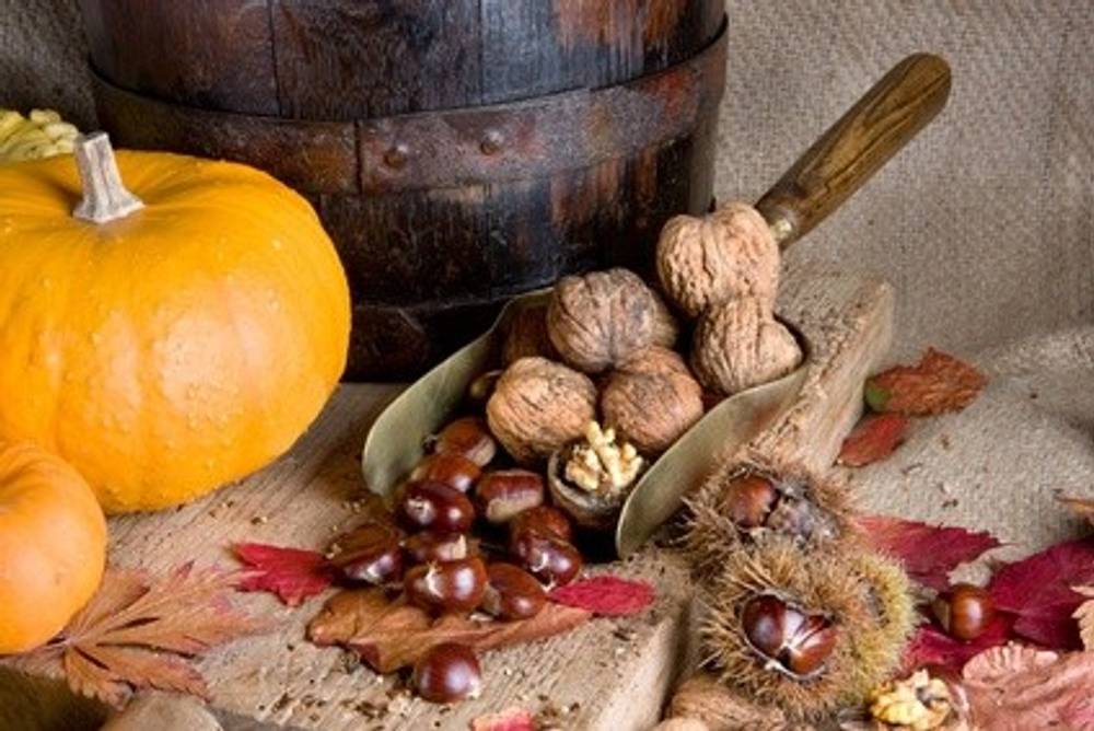 Herbst & Maroni Herbst & Maroni
