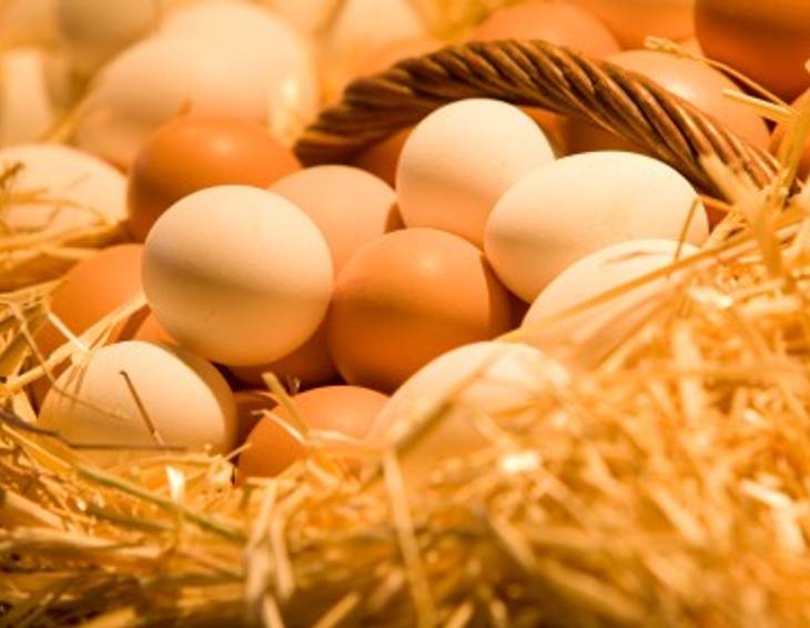 Wie erkennt man frische Eier?