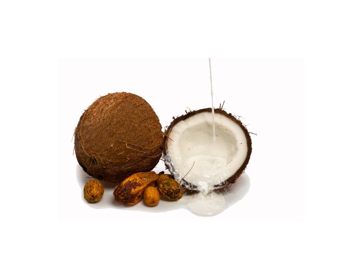 Kokosnuss und Kokosmilch