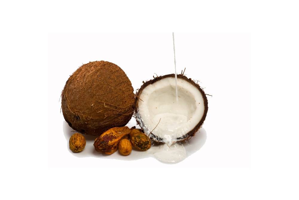 Kokosnuss und Kokosmilch Kokosnuss und Kokosmilch