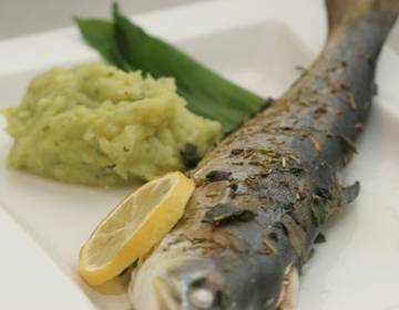 Saibling mit Bärlauch-Kokos-Püree Saibling mit Bärlauch-Kokos-Püree