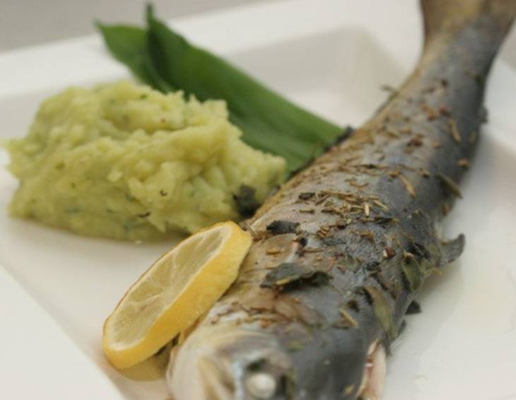 Saibling mit Bärlauch-Kokos-Püree Saibling mit Bärlauch-Kokos-Püree