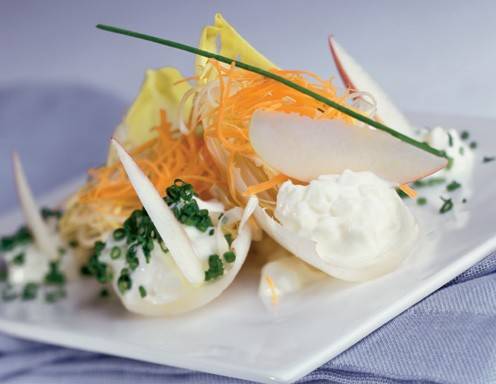 Chicoréesalat mit Äpfeln Rezept - ichkoche.de