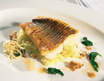 Zanderfilet mit Kraut und Rüben Zanderfilet mit Kraut und Rüben