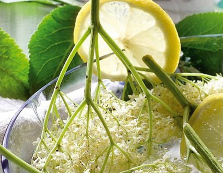 Hollerblütensaft Hollerblütensaft