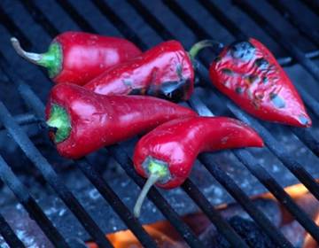 Gegrillte Chilischoten Gegrillte Chilischoten