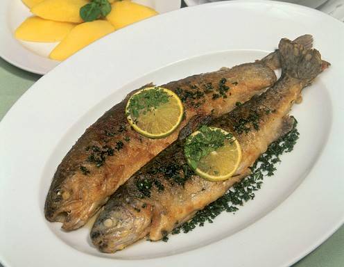 rezept forelle müllerin art backofen