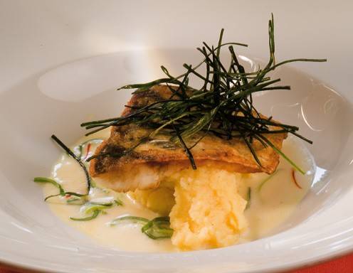 Gebratener Zander in Lauchsauce Rezept - ichkoche.de Gebratener Zander in Lauchsauce Rezept - ichkoche.de