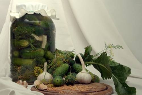 Essiggurkerln Essiggurkerln