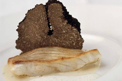 Die besten Trüffel Rezepte Die besten Trüffel Rezepte