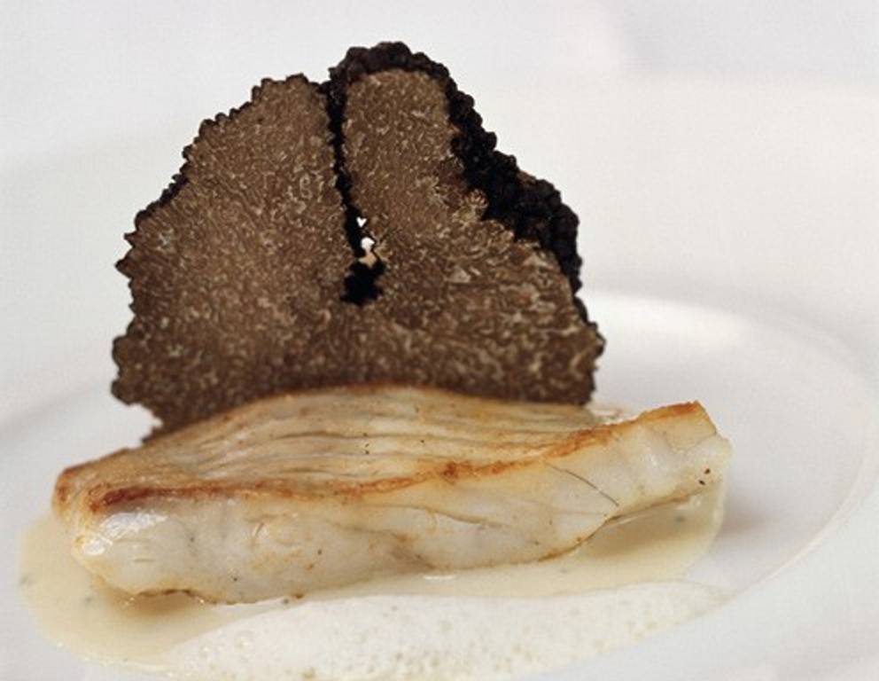 Die besten Trüffel Rezepte Die besten Trüffel Rezepte