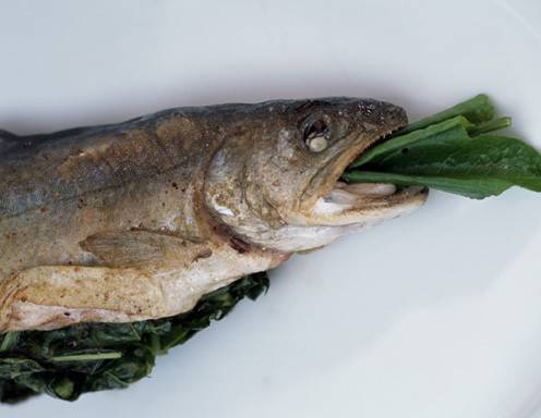 Saibling gefüllt mit Sauerampfer Rezept - ichkoche.de Saibling gefüllt mit Sauerampfer Rezept - ichkoche.de