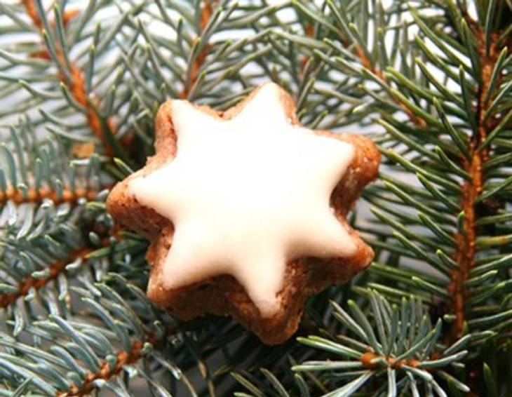 Zimtsterne (auch für Diabetiker geeignet) Zimtsterne (auch für Diabetiker geeignet)