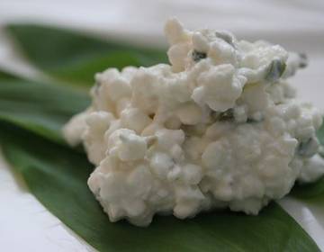 Bärlauch-Frischkäse-Creme Bärlauch-Frischkäse-Creme
