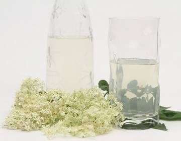 Klassischer Holunderblütensaft Klassischer Holunderblütensaft