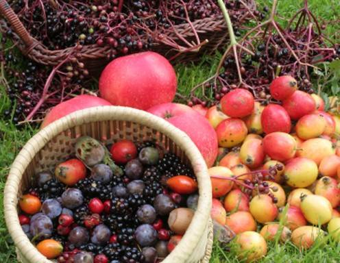 Herbstmarmelade Rezept - ichkoche.de Herbstmarmelade Rezept - ichkoche.de