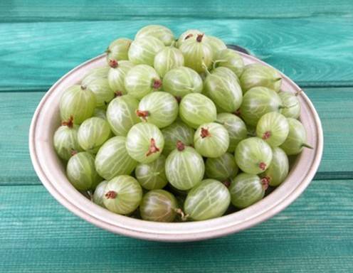 Die besten Stachelbeeren Rezepte - ichkoche.de Die besten Stachelbeeren Rezepte - ichkoche.de