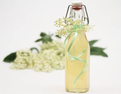 Holunderblütensaft Rezept