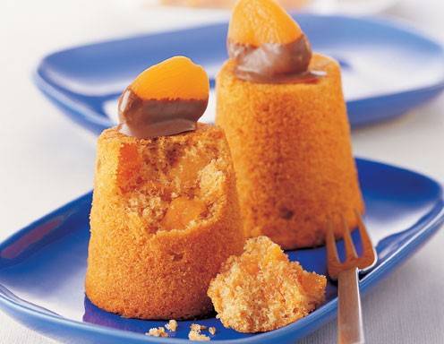 Dinkelkuchen mit Marillen
