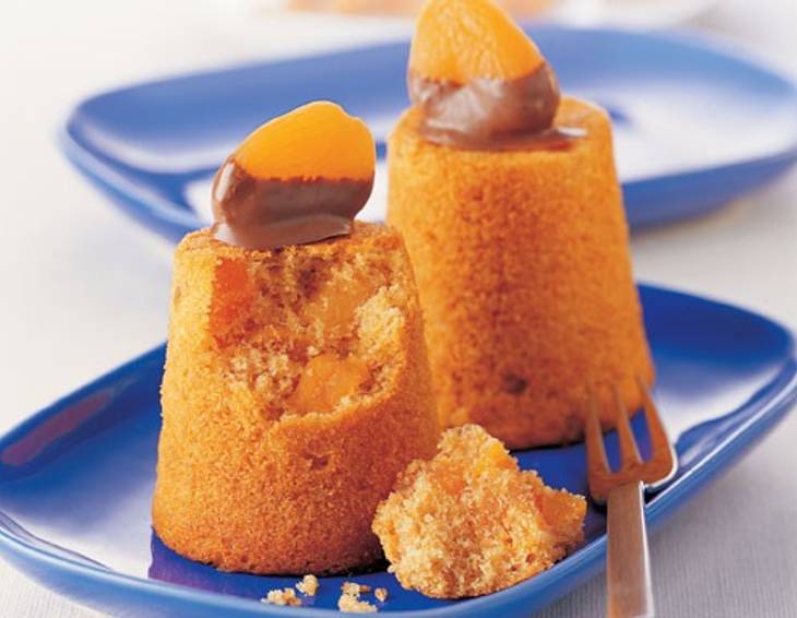 Dinkelkuchen mit Marillen Dinkelkuchen mit Marillen