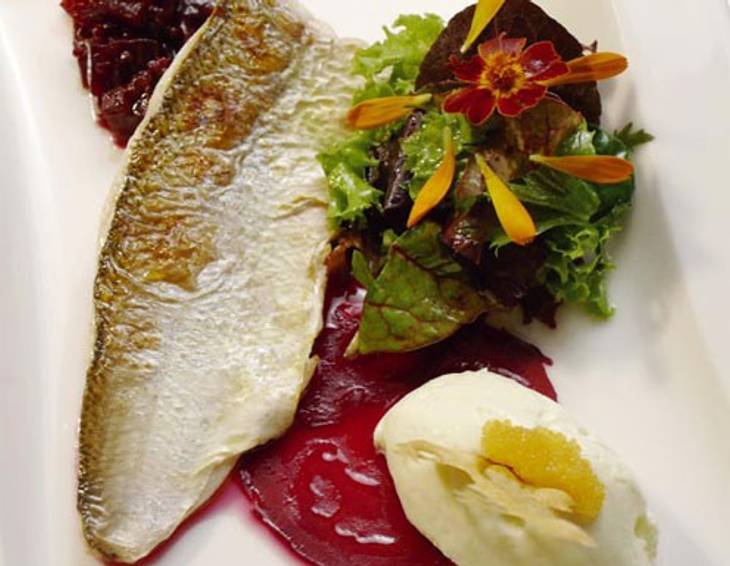 Gegrillte Bodenseefelchen auf Randig mit Wasabi- Sauerrahmmousse Gegrillte Bodenseefelchen auf Randig mit Wasabi- Sauerrahmmousse
