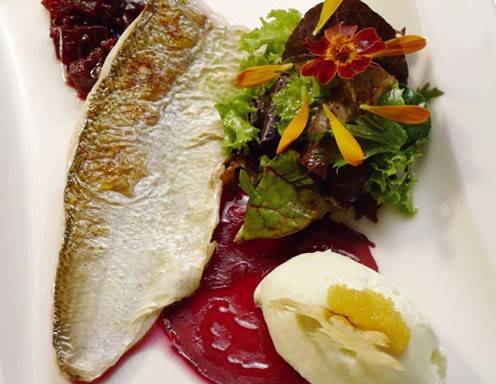 Gegrillte Bodenseefelchen auf Randig mit Wasabi- Sauerrahmmousse Rezept ... Gegrillte Bodenseefelchen auf Randig mit Wasabi- Sauerrahmmousse Rezept ...