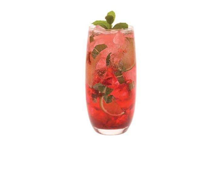 Hibiscus Mojito