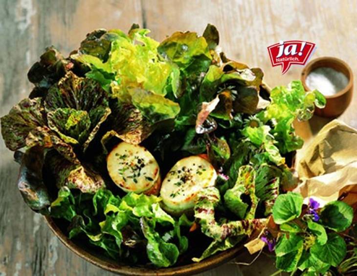 Bauernsalat von der Ziegenalm Bauernsalat von der Ziegenalm