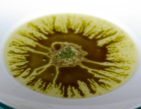 Kürbiscremesuppe Rezept - ichkoche.at Kürbiscremesuppe Rezept - ichkoche.at