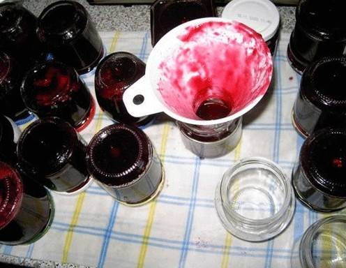 Isabellatrauben Marmelade Rezept - ichkoche.at Isabellatrauben Marmelade Rezept - ichkoche.at