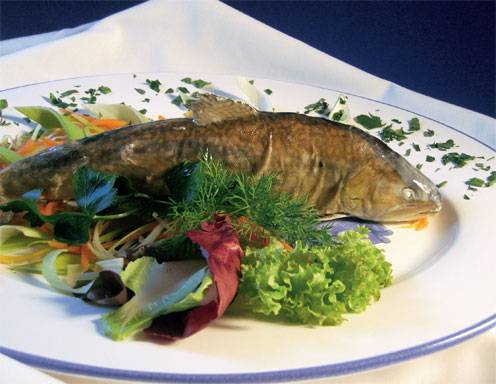 Forelle blau Rezept - ichkoche.de Forelle blau Rezept - ichkoche.de