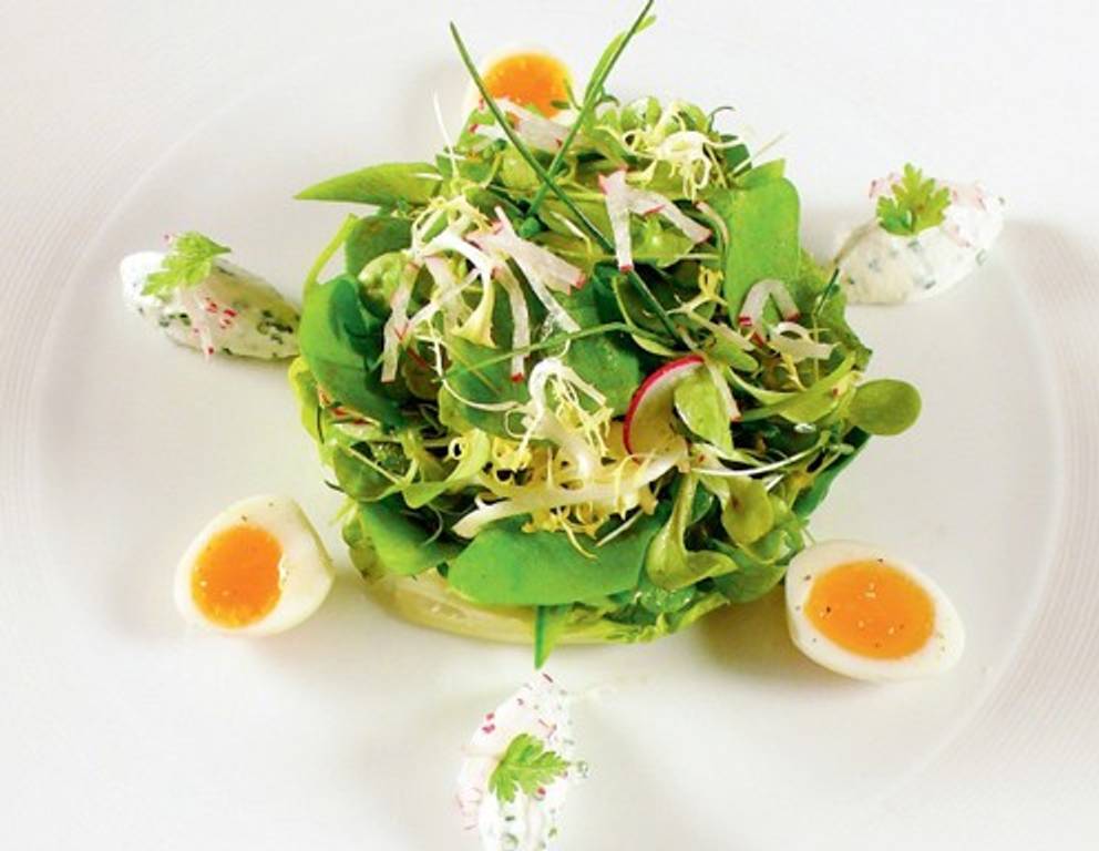 Frühlingssalat Frühlingssalat