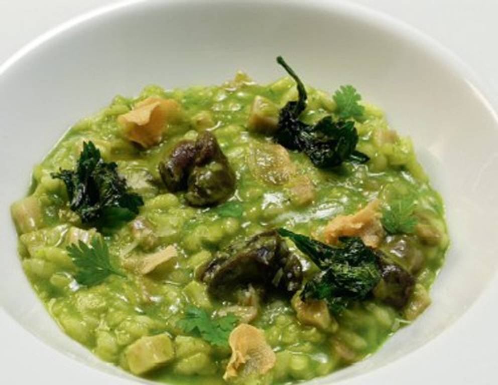 Bärlauchrisotto mit Weinbergschnecken Bärlauchrisotto mit Weinbergschnecken