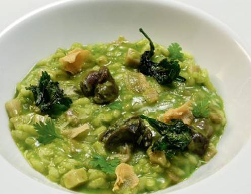 Bärlauchrisotto mit Weinbergschnecken Rezept - ichkoche.de Bärlauchrisotto mit Weinbergschnecken Rezept - ichkoche.de