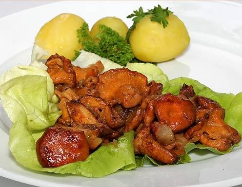 Geröstete Eierschwammerl Rezept