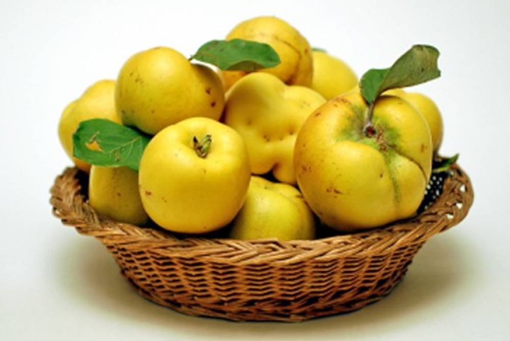 Lieblings-Quittenrezept Gewinnspiel Lieblings-Quittenrezept Gewinnspiel