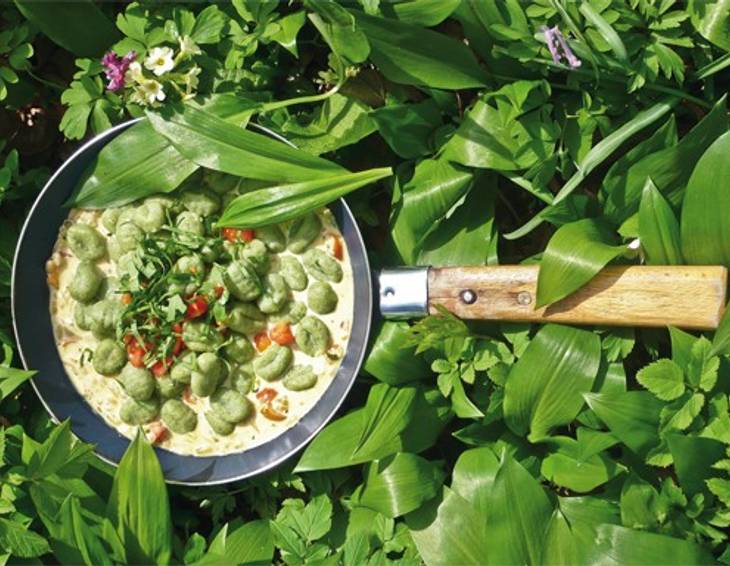 Bärlauchnocken in Weißweinsauce mit Pinienkernen Bärlauchnocken in Weißweinsauce mit Pinienkernen