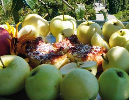 Topfen-Apfel-Schnitten